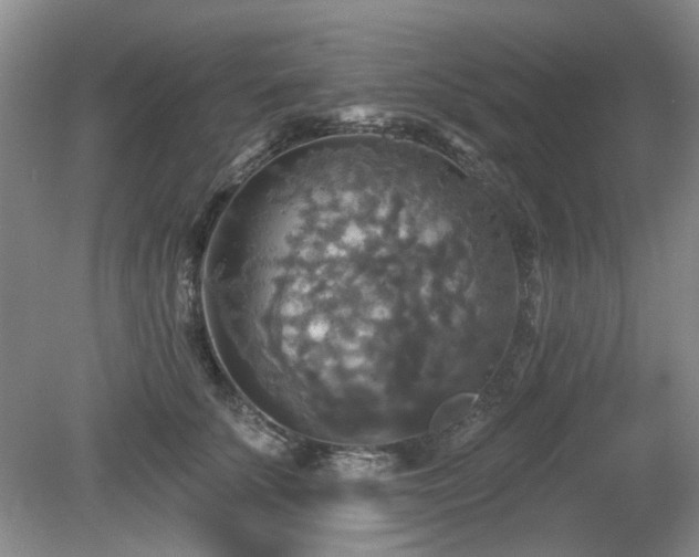 X0000080690707200612151249
