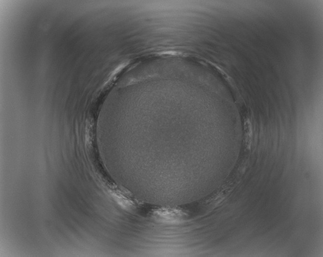 X0000080690712200612151249