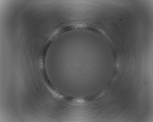 X0000080690715200612151249