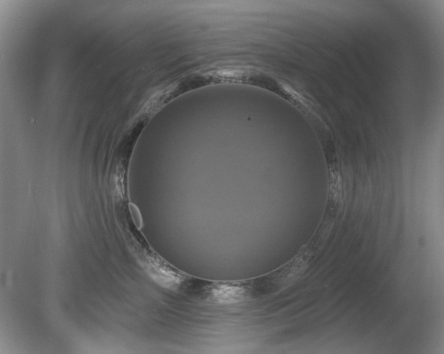X0000080690718200612151249