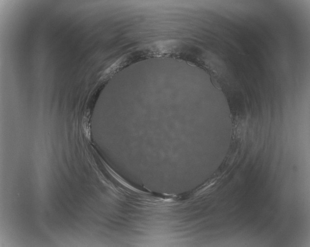 X0000080690719200612151249