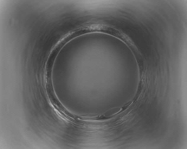 X0000080690722200612151248