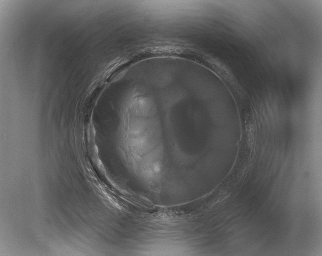 X0000080690729200612151248