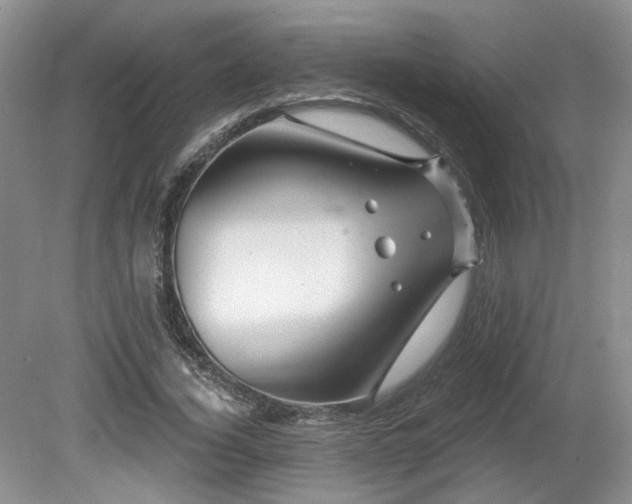X0000080690732200612151248