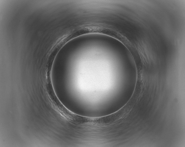 X0000080690733200612151248