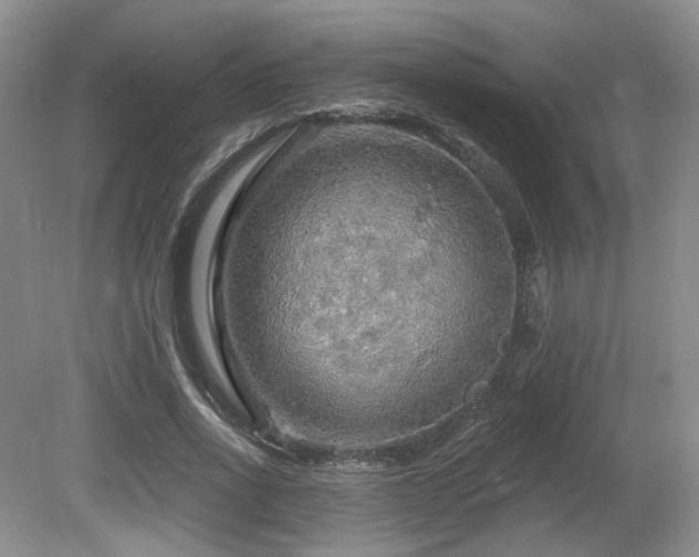 X0000080690734200612151248