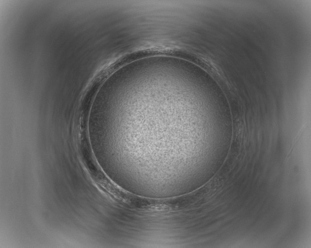 X0000080690736200612151248