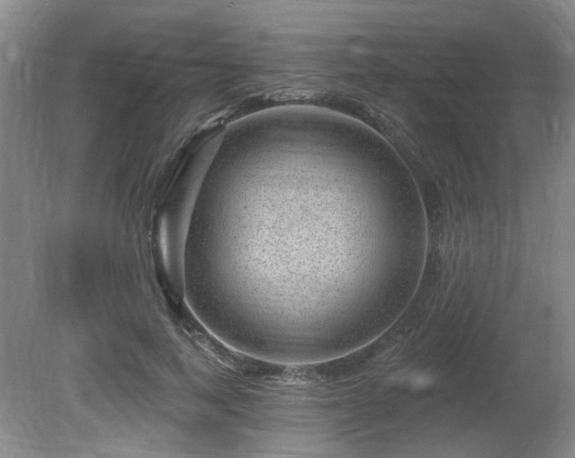 X0000080690743200612151248