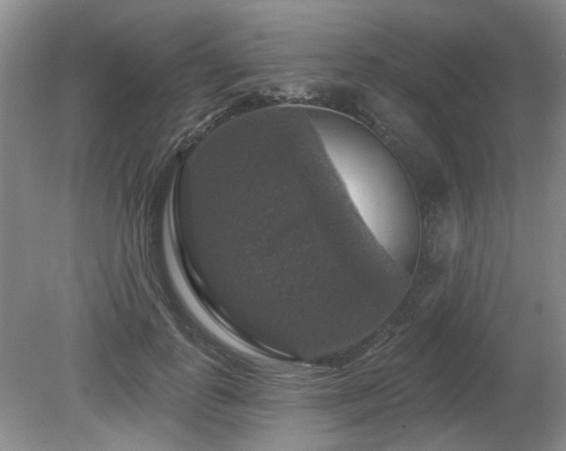 X0000080690747200612151248