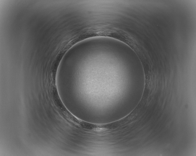 X0000080690748200612151248