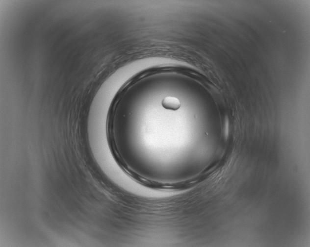 X0000080690750200612151248