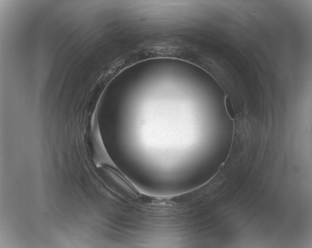 X0000080690752200612151248