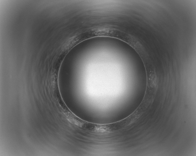 X0000080690753200612151248