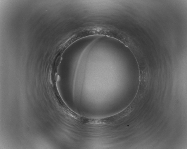X0000080690754200612151248