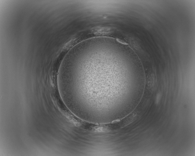 X0000080690755200612151248