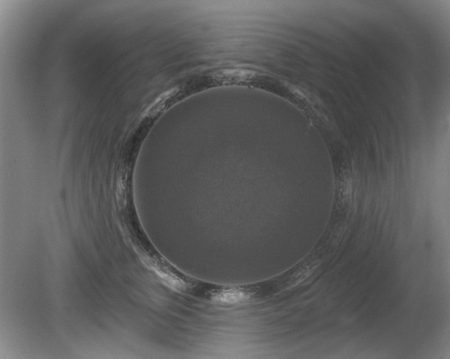 X0000080690759200612151248