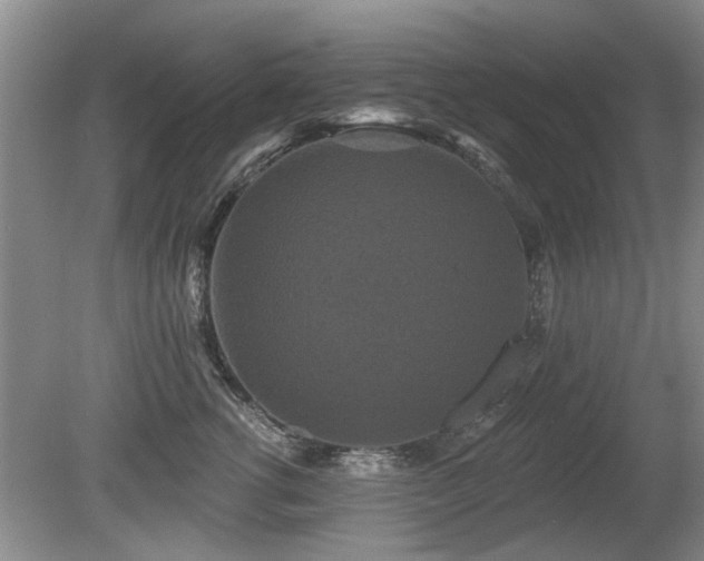 X0000080690762200612151248