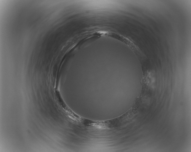 X0000080690763200612151249