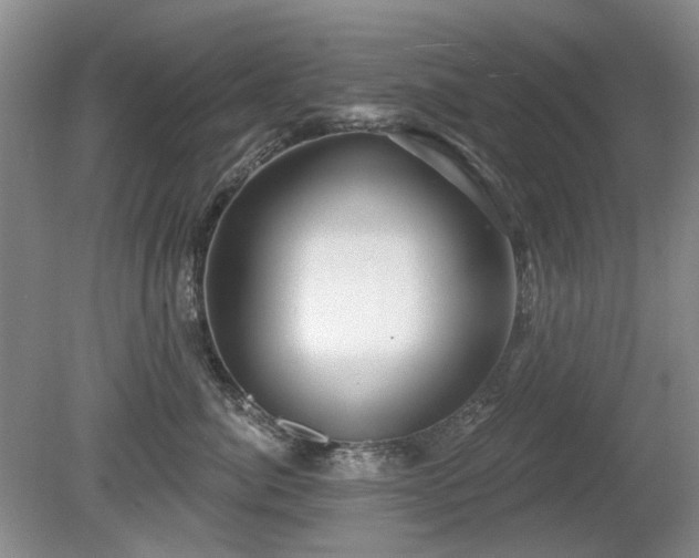 X0000080690764200612151249