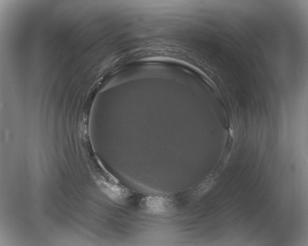 X0000080690766200612151249