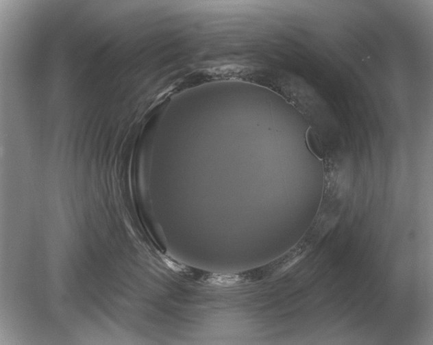 X0000080690767200612151249