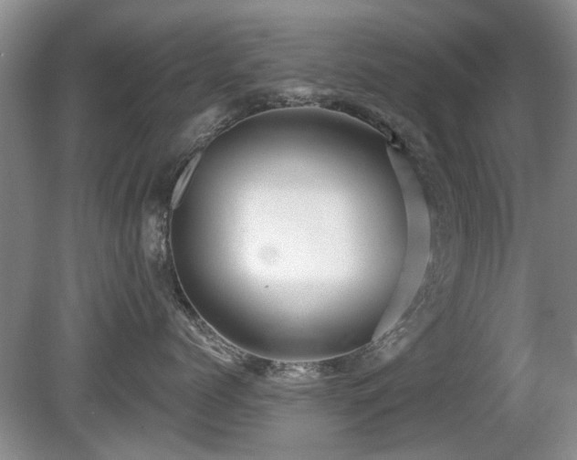 X0000080690768200612151249