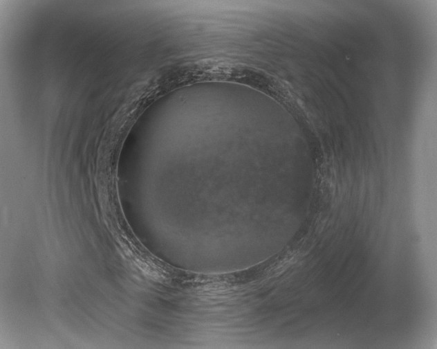 X0000080690769200612151248