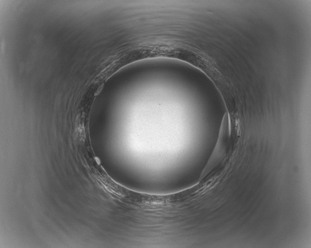 X0000080690771200612151248