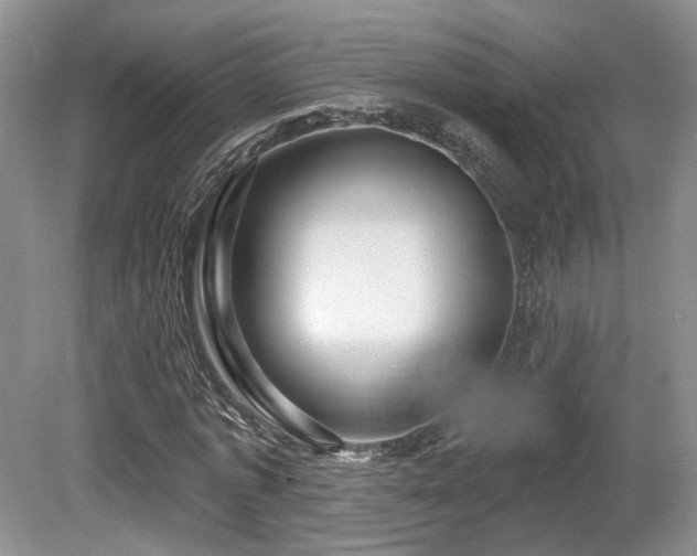 X0000080690773200612151248