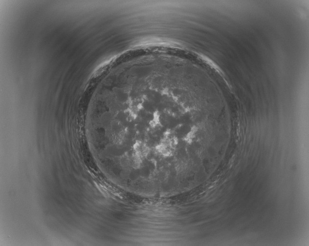 X0000080690775200612151248
