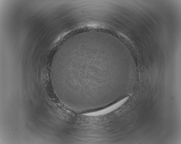 X0000080690776200612151248