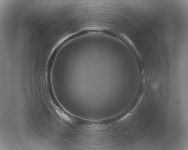 X0000080690779200612151248