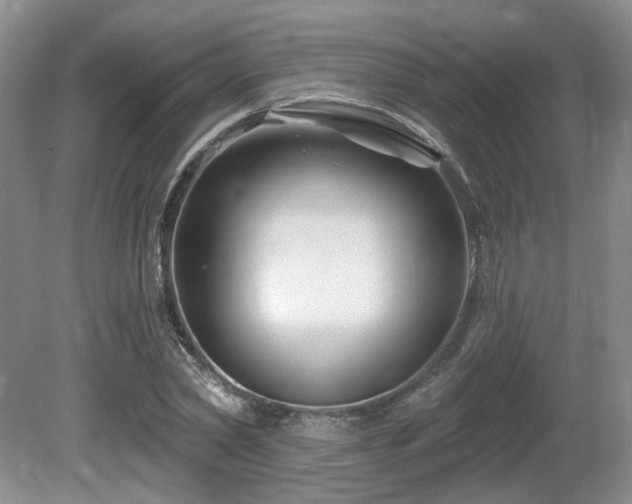 X0000080690782200612151248