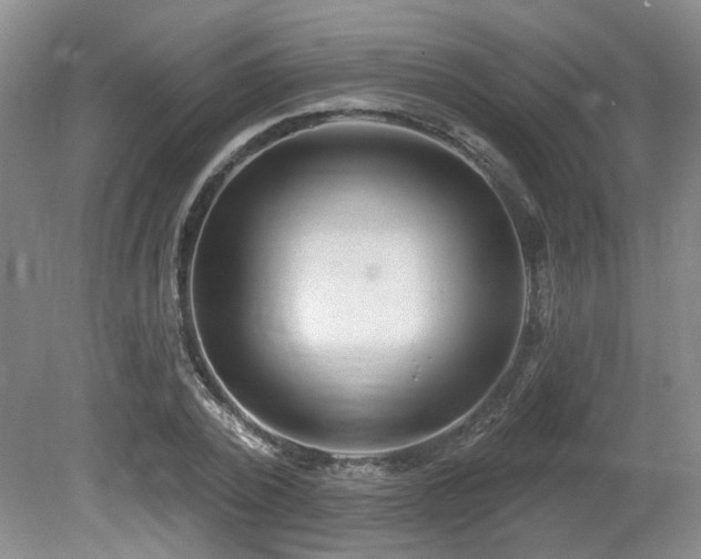 X0000080690784200612151248