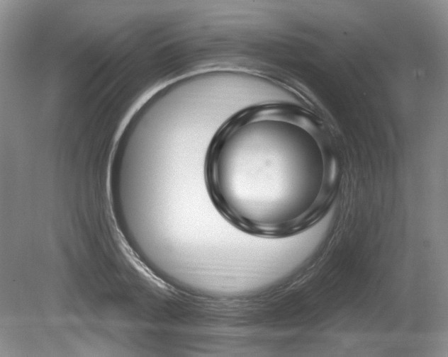 X0000080690788200612151247