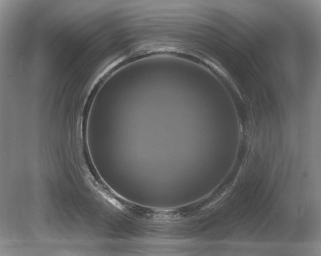 X0000080690790200612151247