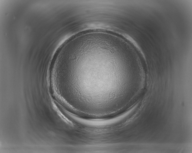 X0000080690791200612151247