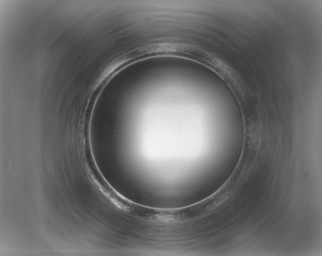 X0000080690794200612151247