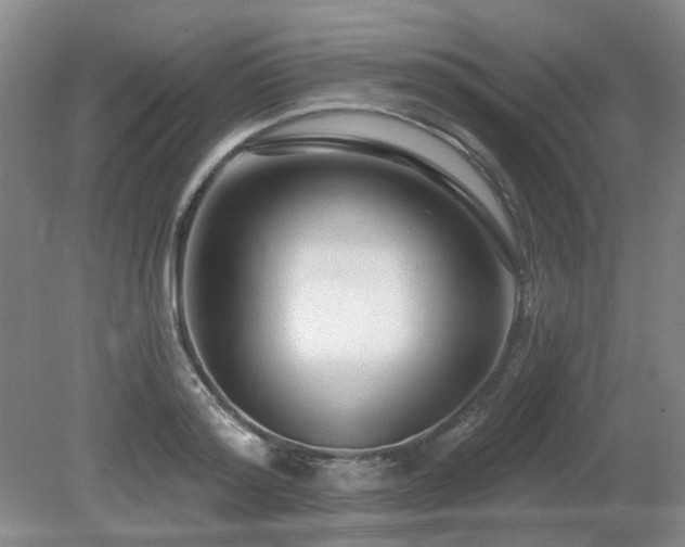 X0000080690796200612151247