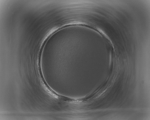 X0000080690797200612151247
