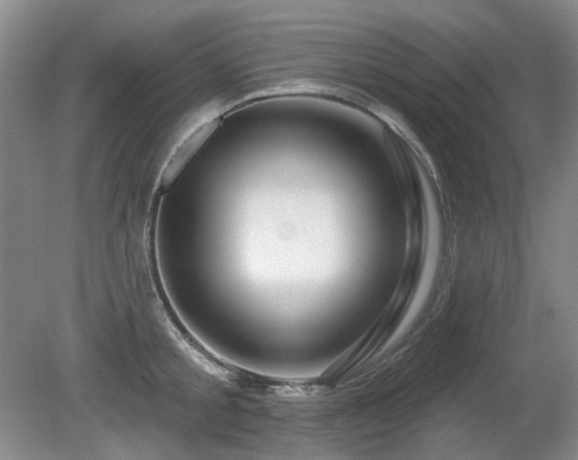 X0000080690805200612151247