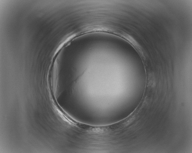 X0000080690806200612151247