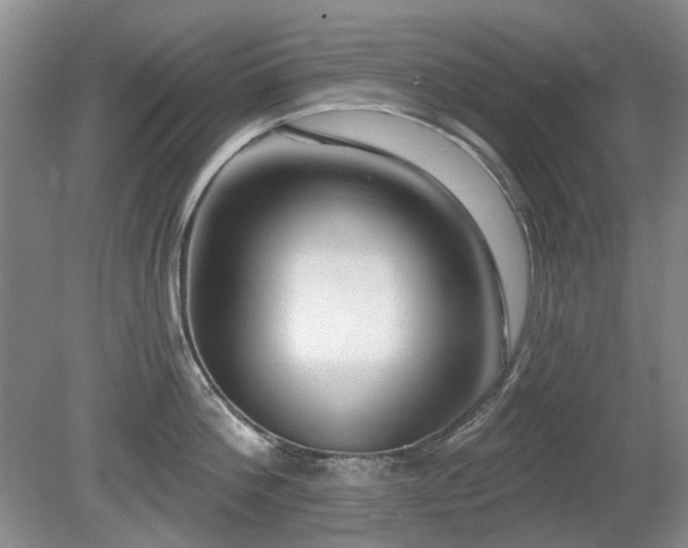X0000080690812200612151247