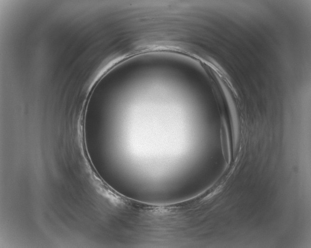 X0000080690814200612151247