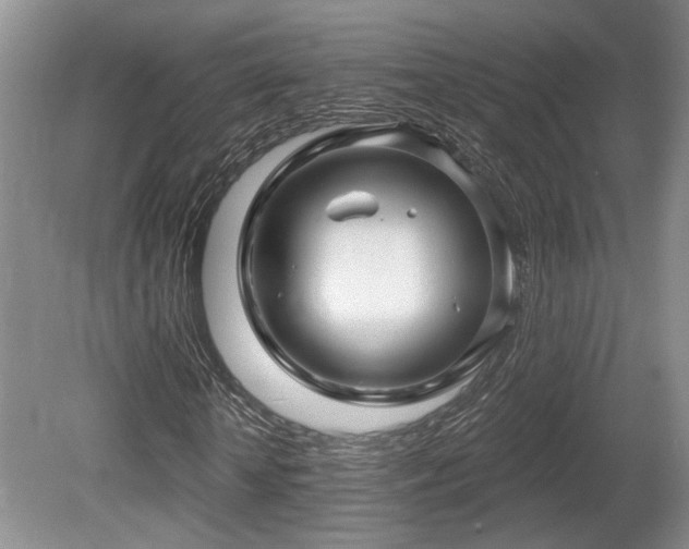 X0000080690818200612151246