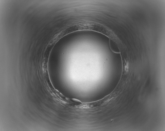 X0000080690819200612151246