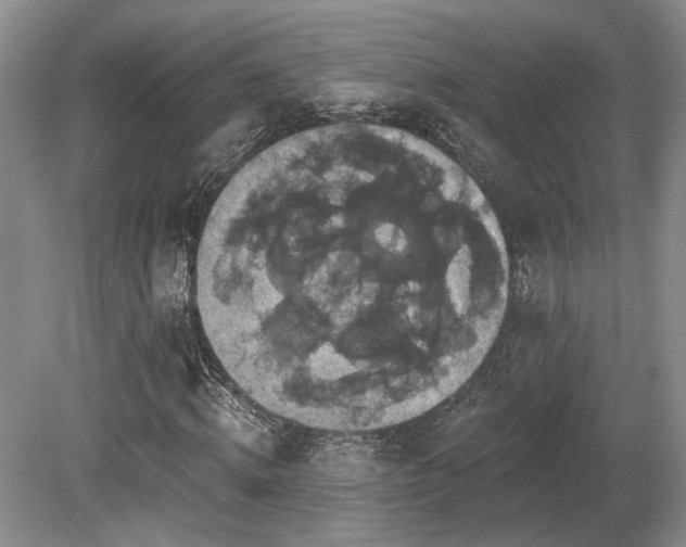 X0000080690820200612151246