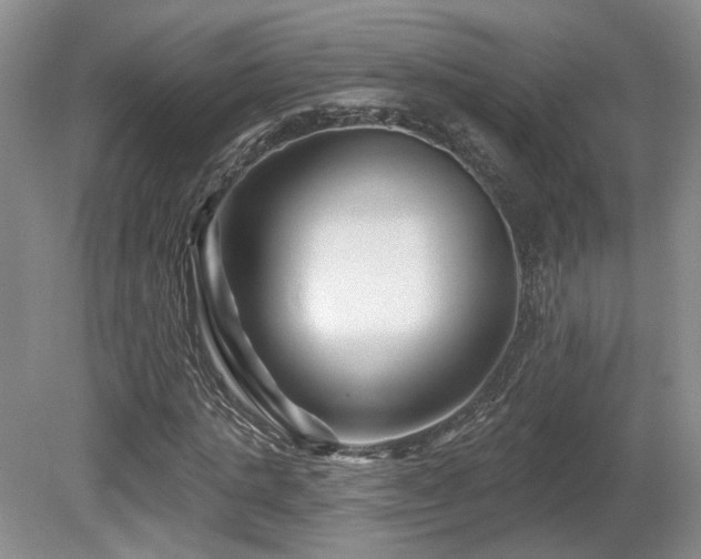 X0000080690821200612151246