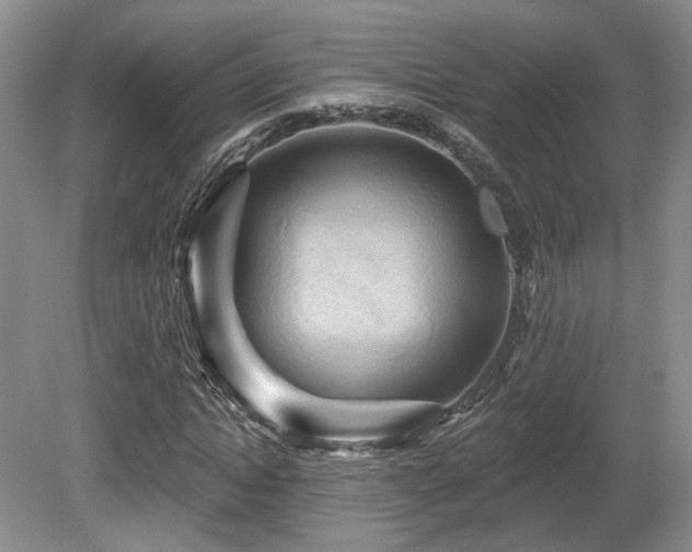 X0000080690822200612151246