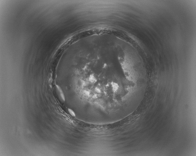 X0000080690823200612151246